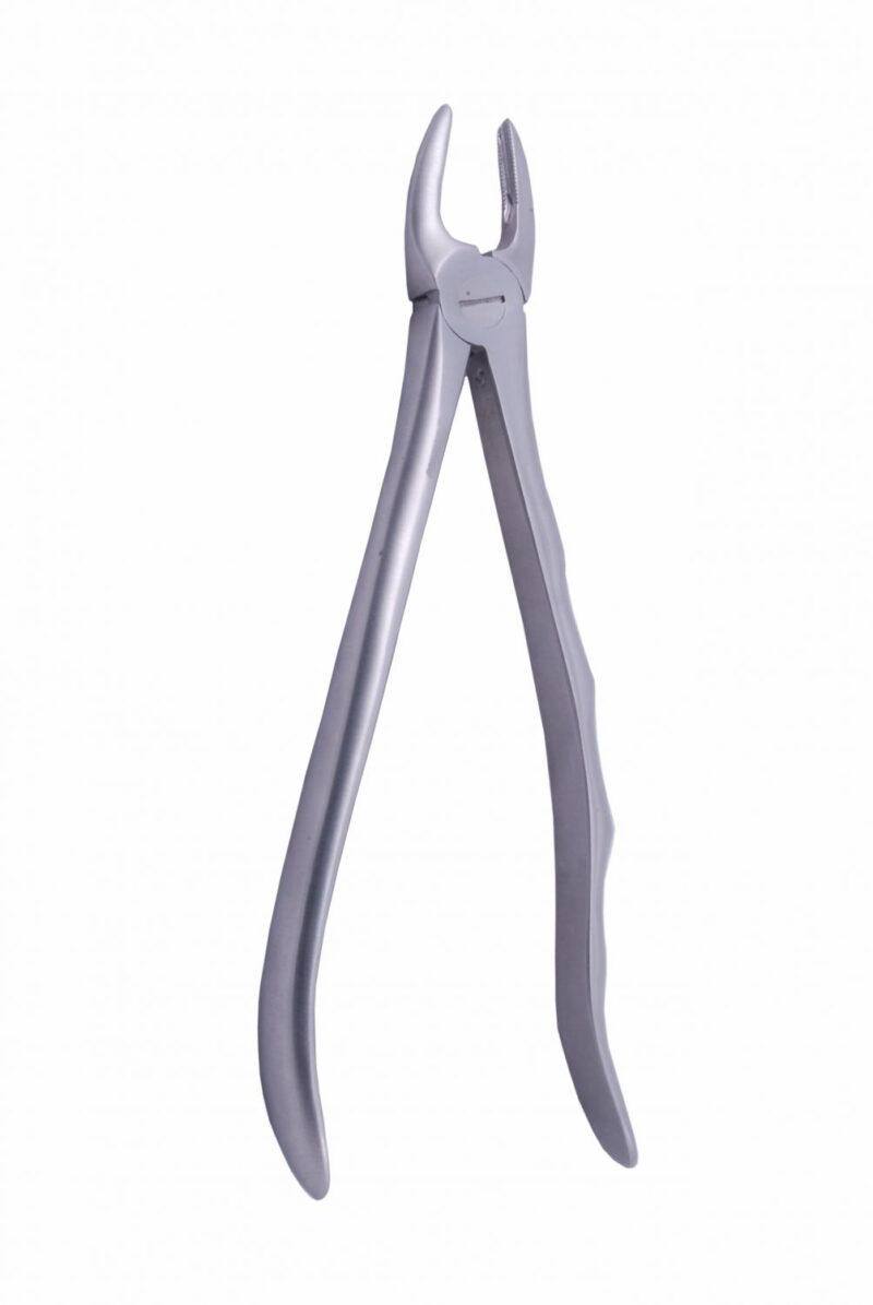 Tooth Extracting Forceps - Image 2