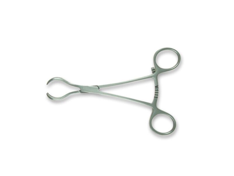 Twin pointed forceps
