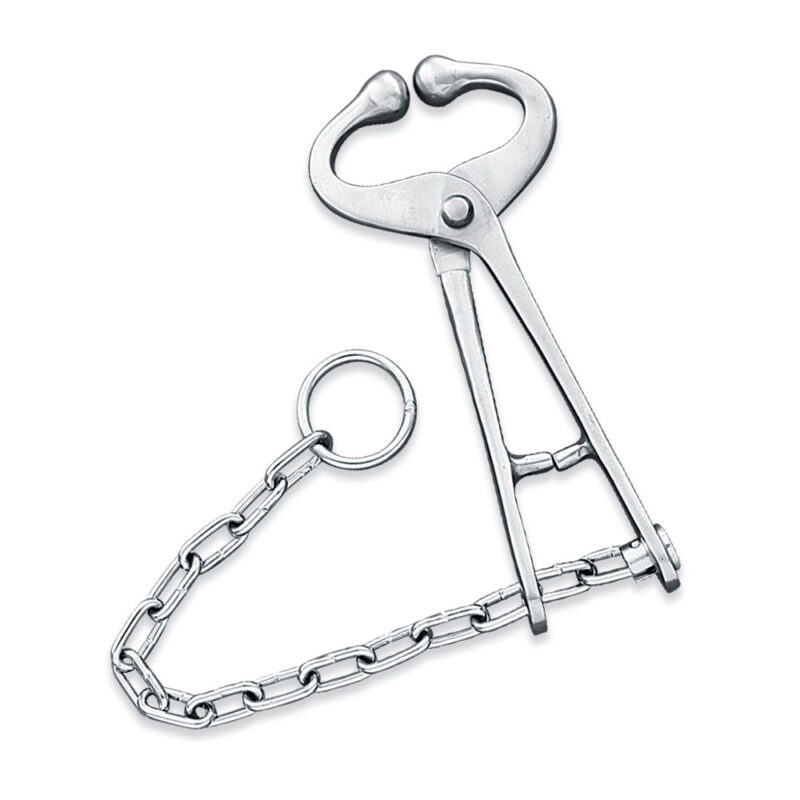 Bull Lead With Chain