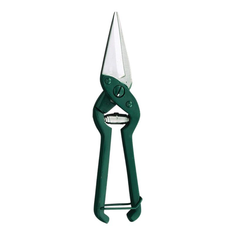 Foot Rot Shears