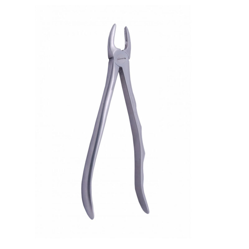 Tooth Extracting Forceps